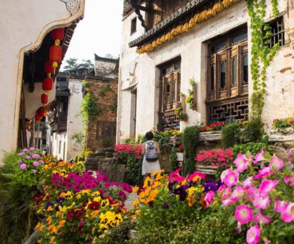 婺源篁嶺/鮮花小鎮(zhèn)/天街古鎮(zhèn)/玻璃橋/曬秋人家/梯田花海半日游